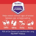 FELIWAY MultiCat 30 Day Cat Calming Plug In Pheromone Diffuser Starter Kit, 48ml - Helps Reduce Conflicts and Signs of Tension in Multi-Cat Households - Image 5